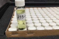 Sample Bottle